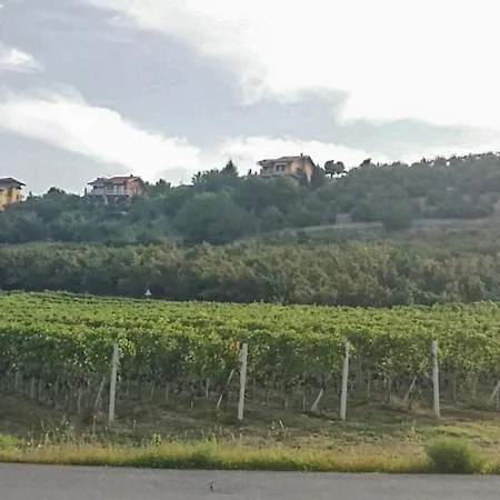 Umberto